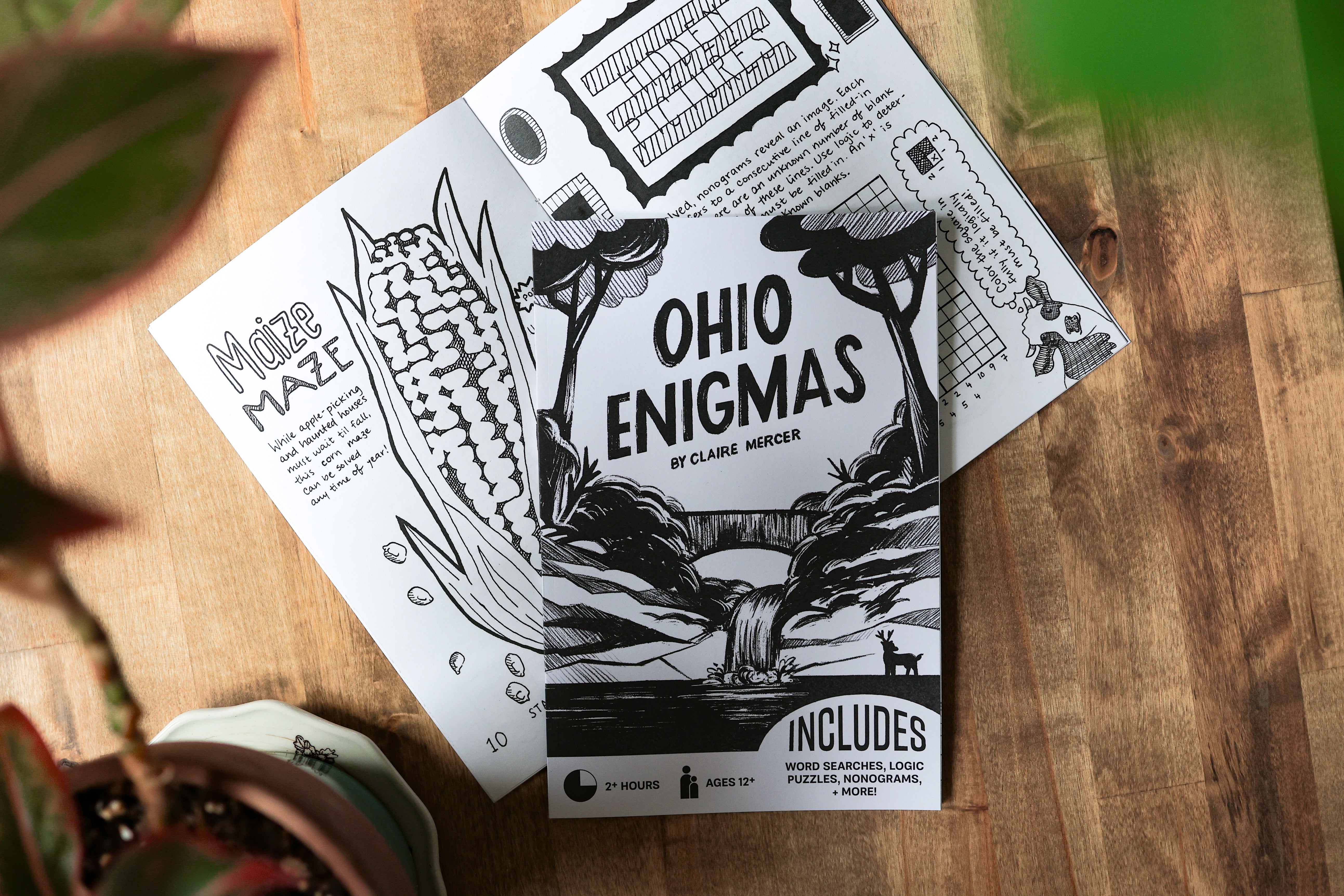 Ohio Enigmas – cleverland puzzle design